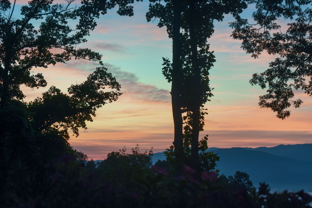 Sunrise on White Oak Mountain July 2023