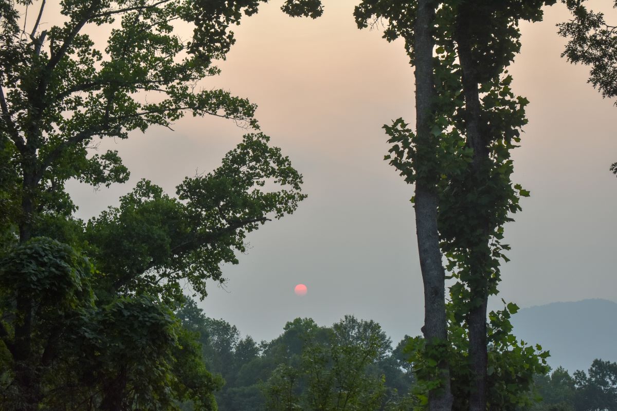 Sunrise on White Oak Mountain July 2023